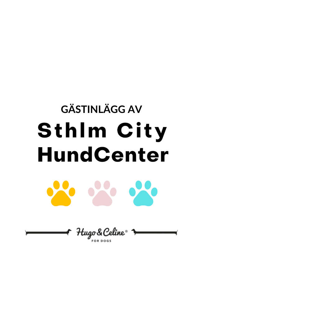STHLM CITY HUNDCENTER